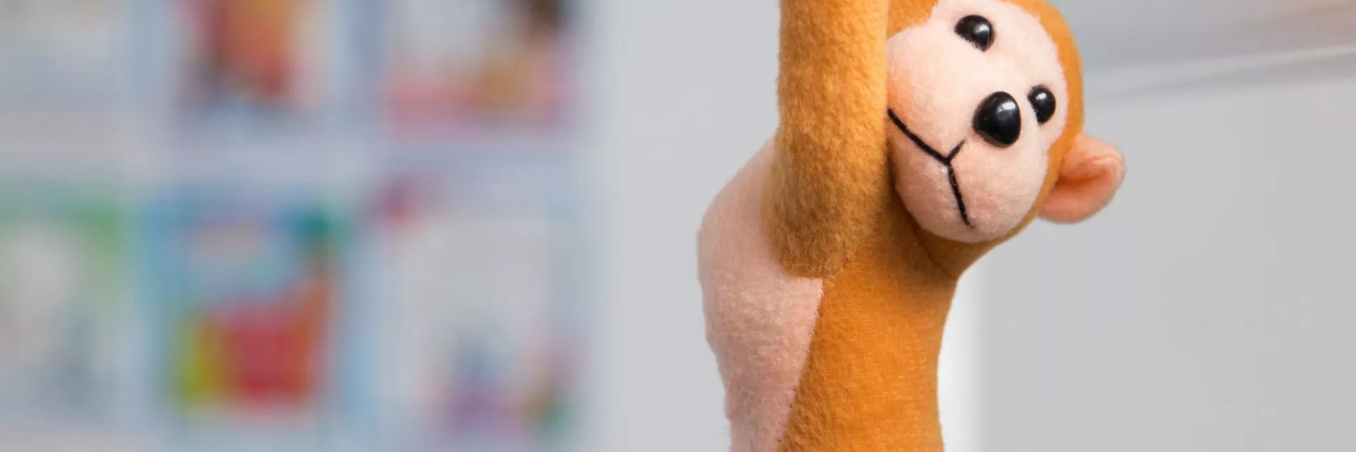 Fostering Process for Beginners